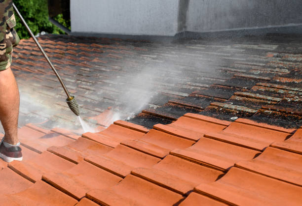 Best Residential Pressure Washing Services  in Stickney, IL