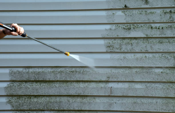 Best Roof Pressure Washing  in Stickney, IL